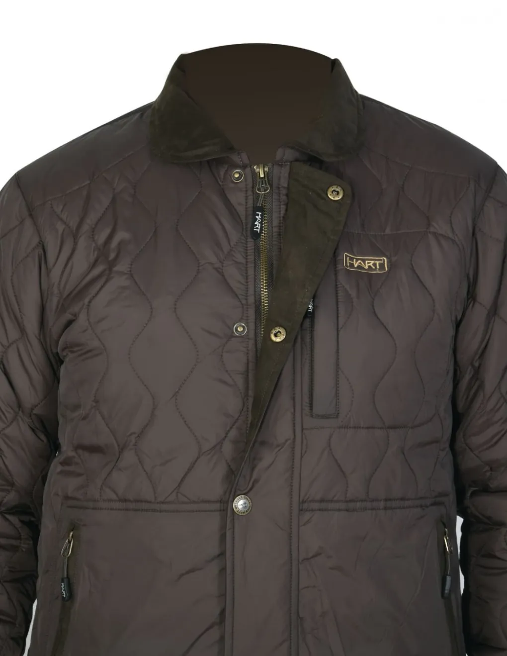 Vestes-HART OUTDOOR Hart Massaias-J Veste Brown